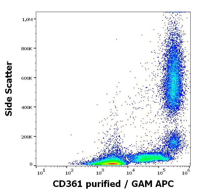CD361 Antibody