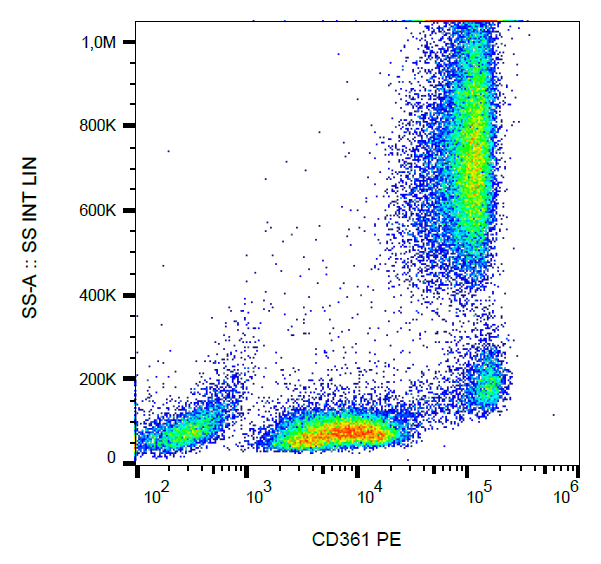 CD361 Antibody (PE)