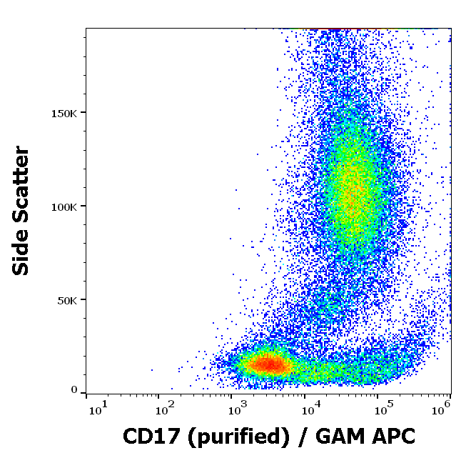CD17 Antibody