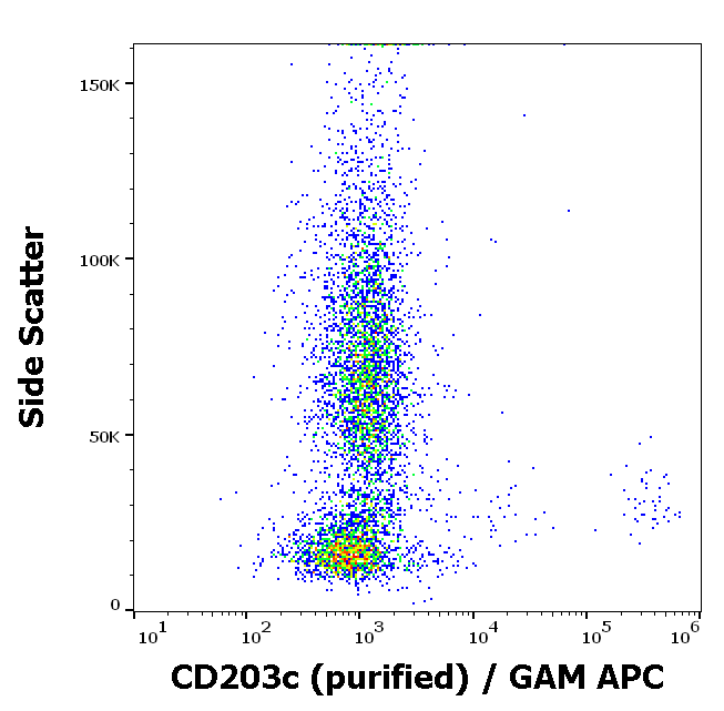 Anti-Hu CD203c Purified