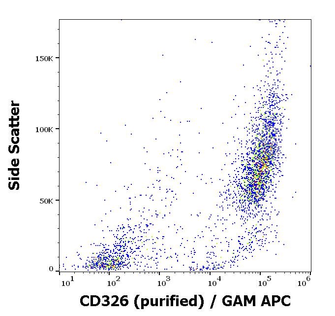 Anti-Hu CD326 Purified