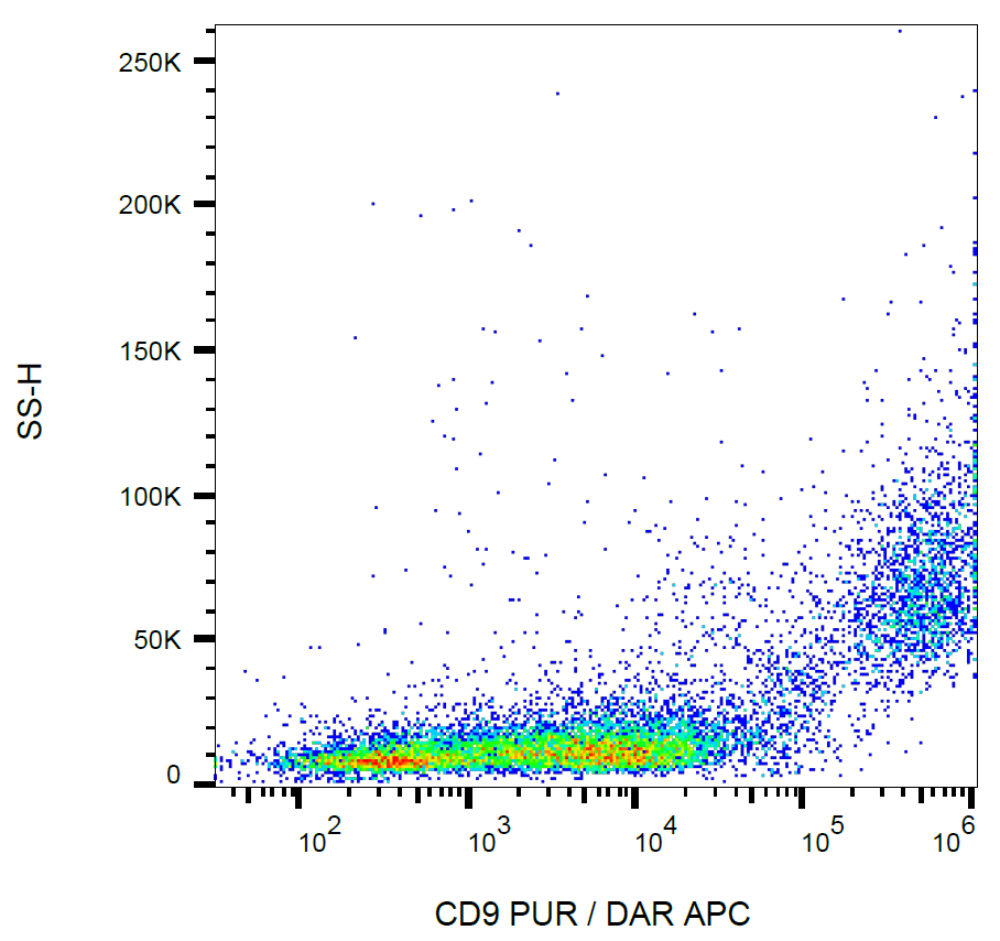 CD9 Antibody