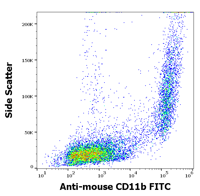 Anti-Ms CD11b FITC