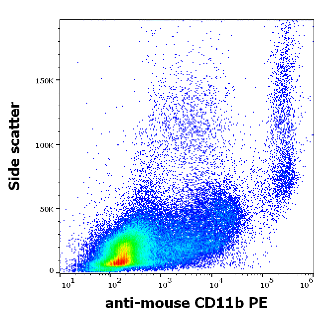 Anti-Ms CD11b PE