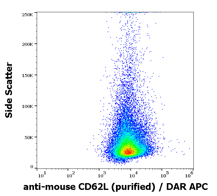 CD62L Antibody