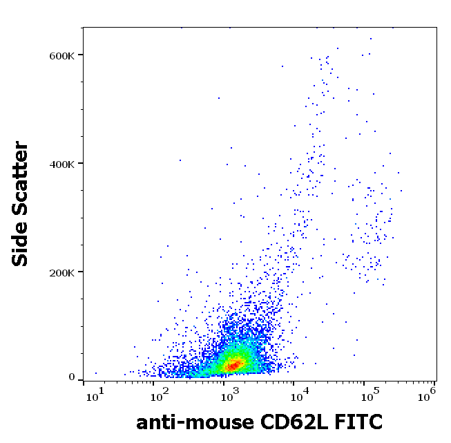 CD62L antibody (FITC)