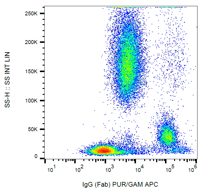 IgG (Fab) Antibody