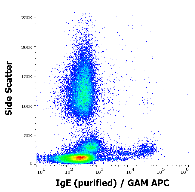 Mouse Anti-Human IgE antibody