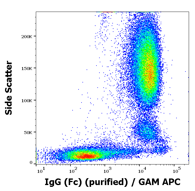 Mouse Anti-Human IgG (Fc) antibody