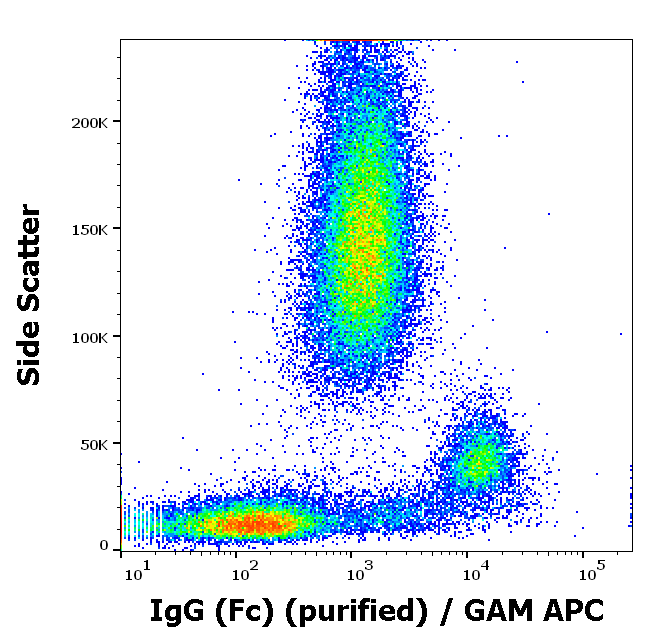 Mouse Anti-Human IgG (Fc) antibody