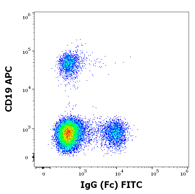 Mouse Anti-Human IgG (Fc) antibody (FITC)