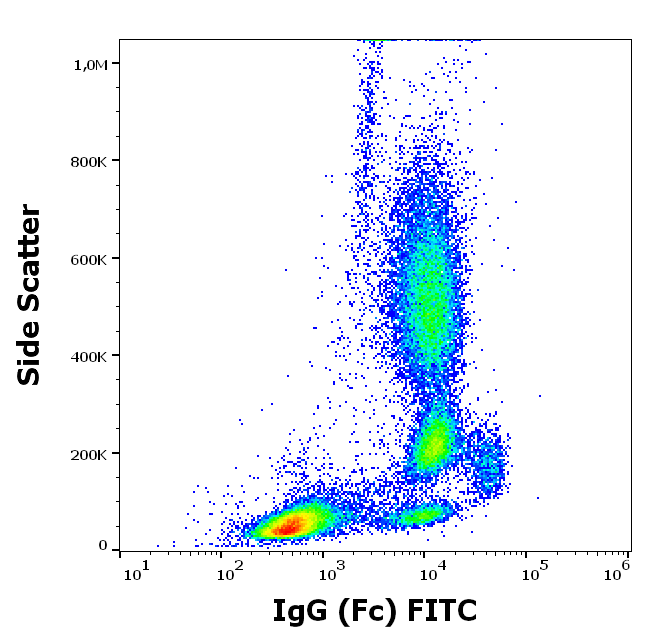 Mouse Anti-Human IgG (Fc) antibody (FITC)