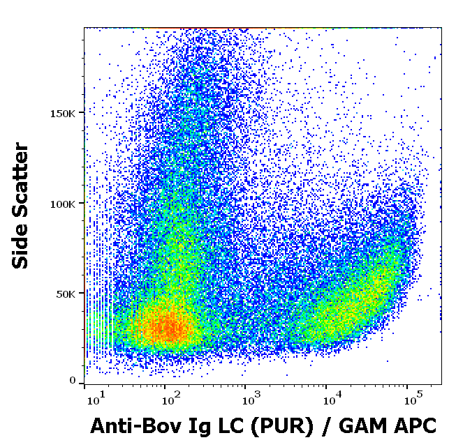 Mouse Anti-Bovine IgG (L chain) antibody