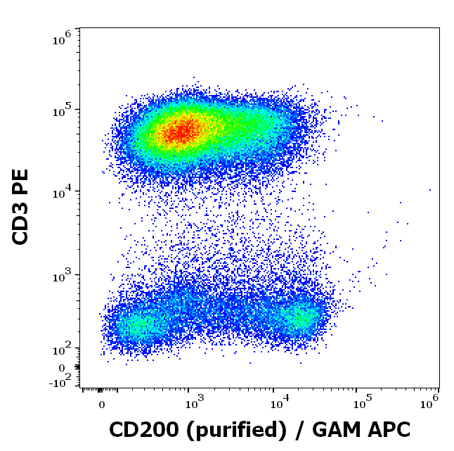 CD200 Antibody