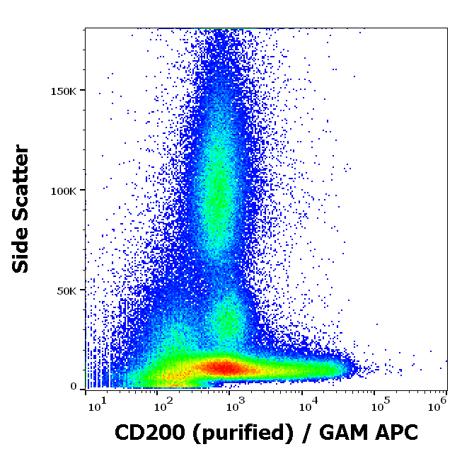 CD200 Antibody