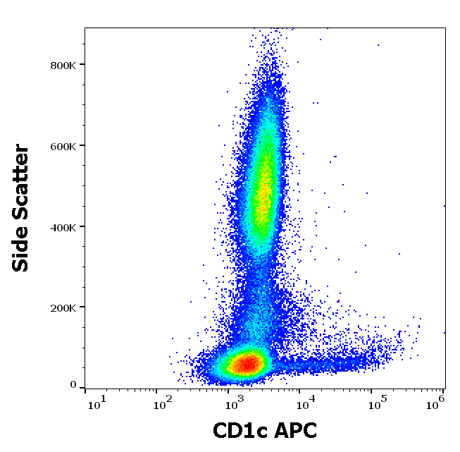 CD1c antibody (APC)