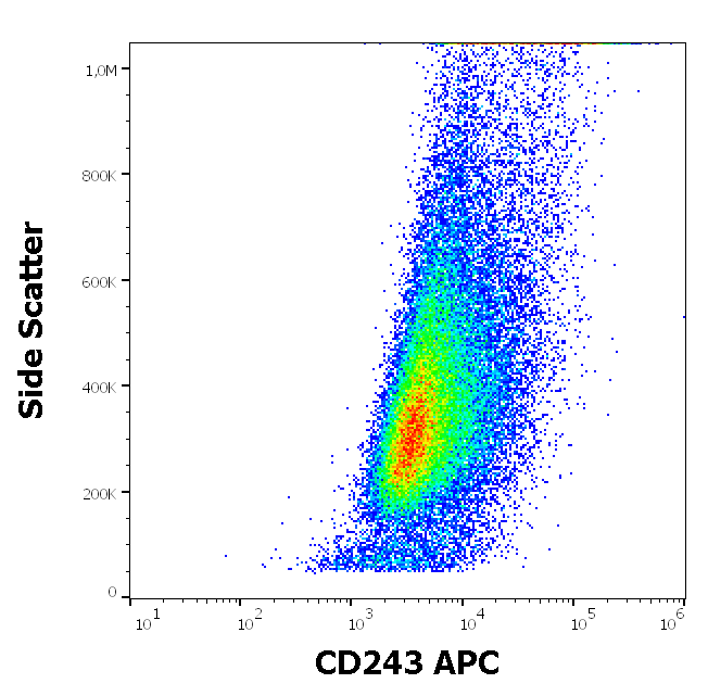 Anti-Hu CD243 APC