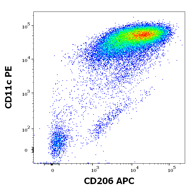 CD206 Antibody (APC)