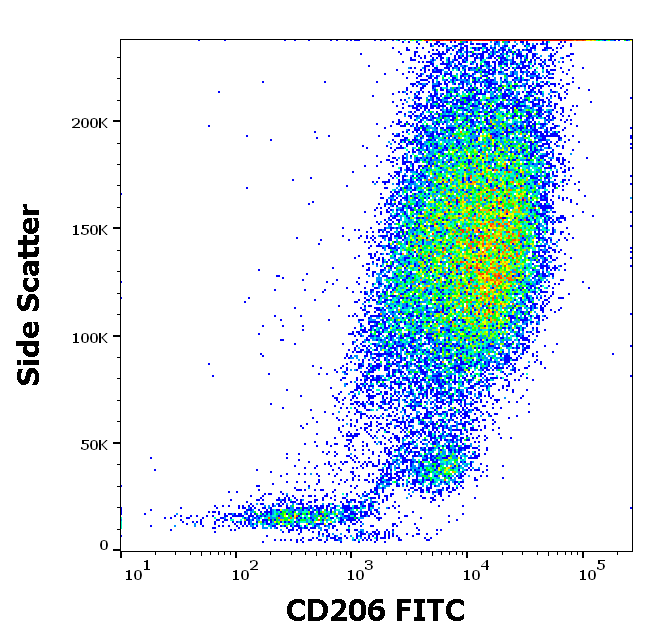Anti-Hu CD206 FITC