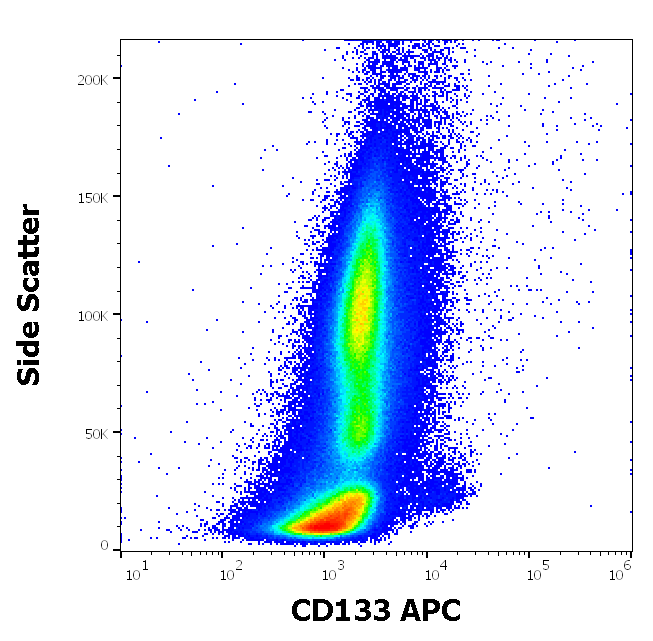 Anti-Hu CD133 APC