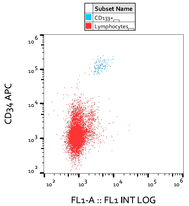 CD133 Antibody