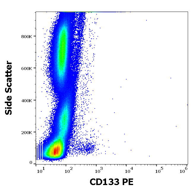CD133 antibody (PE)