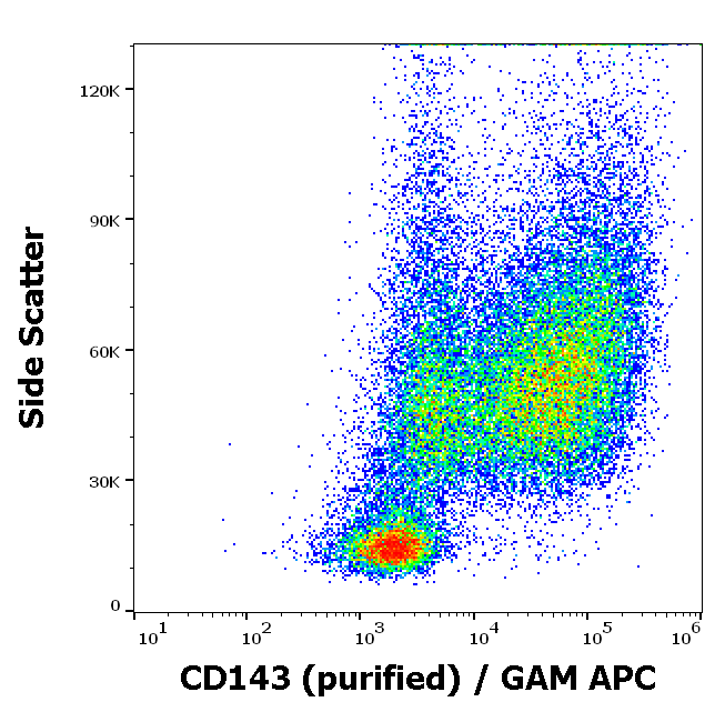 Anti-Hu CD143 Purified