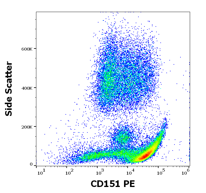 Anti-Hu CD151 PE