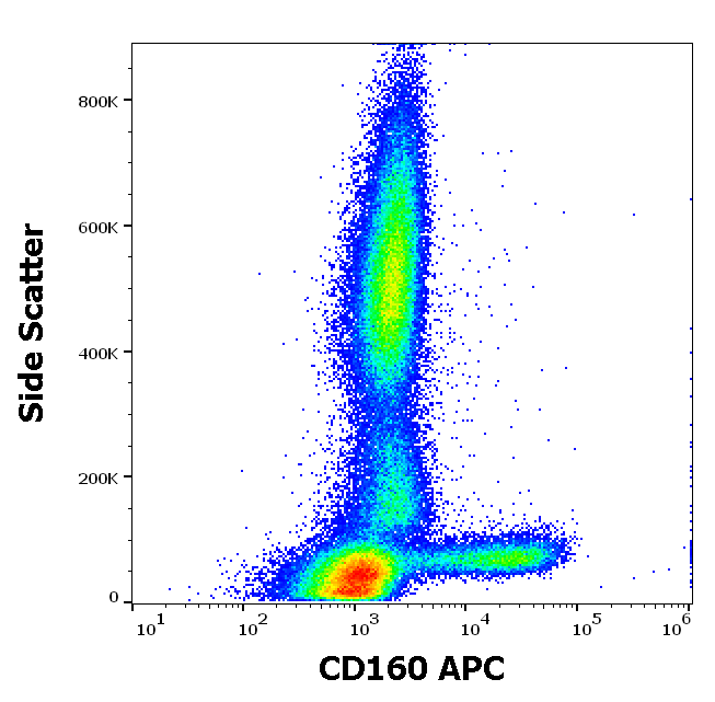 CD160 antibody (APC)