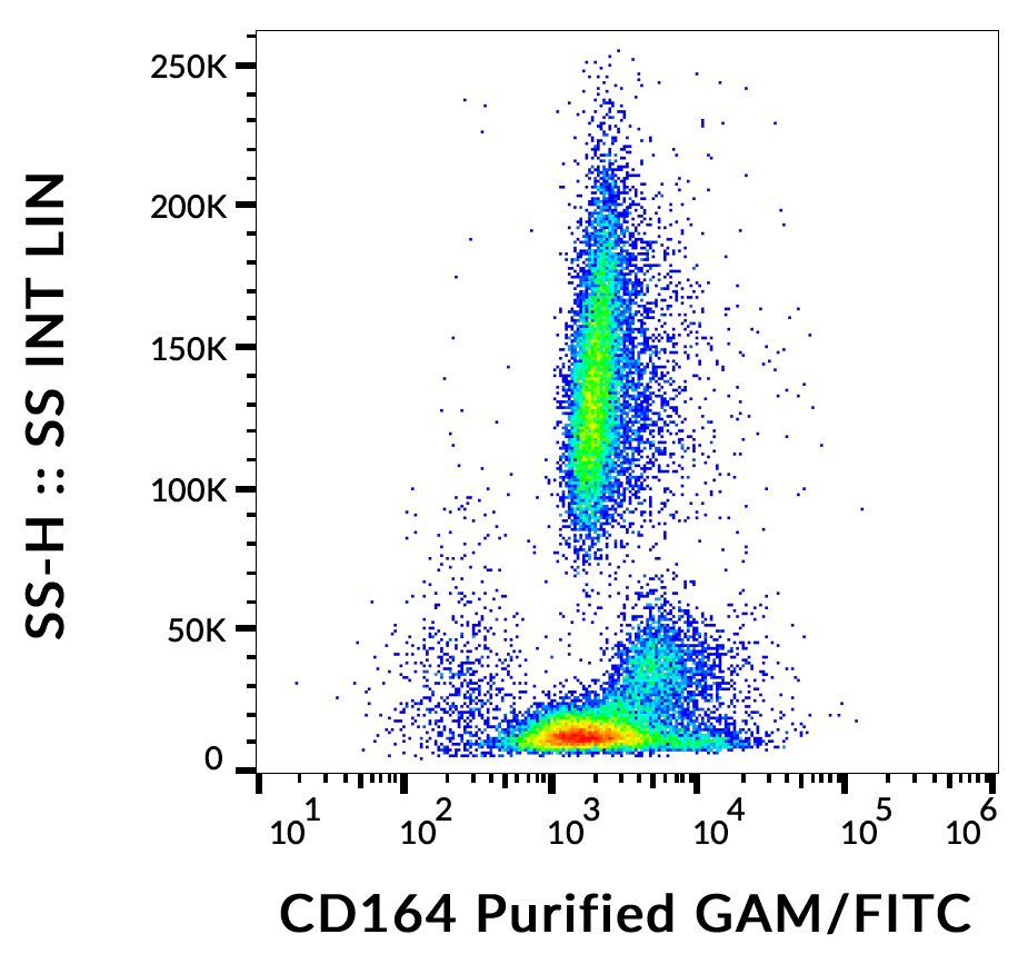 CD164 Antibody