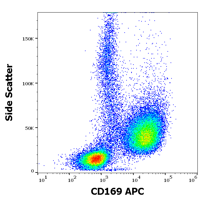 Anti-Hu CD169 APC