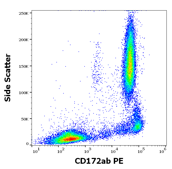 Anti-Hu CD172ab PE