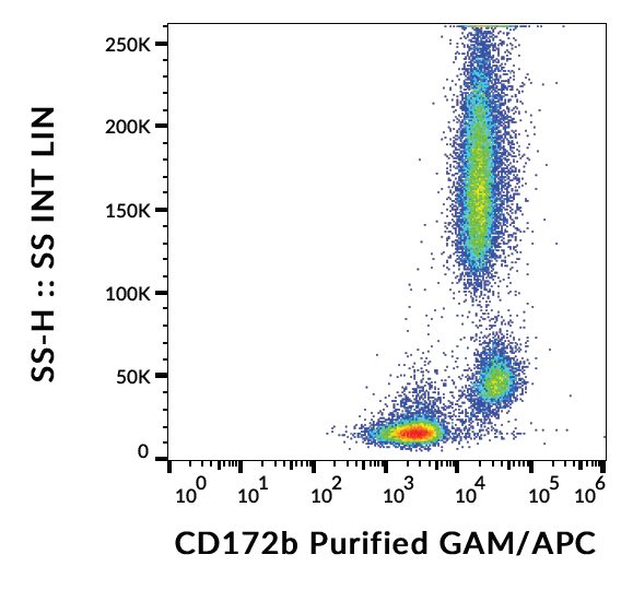 CD172b Antibody