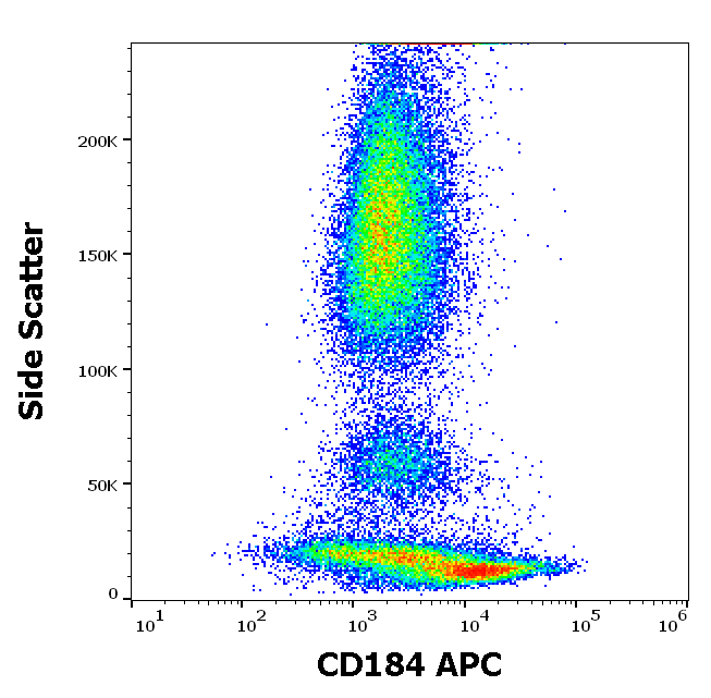 Anti-Hu CD184 APC