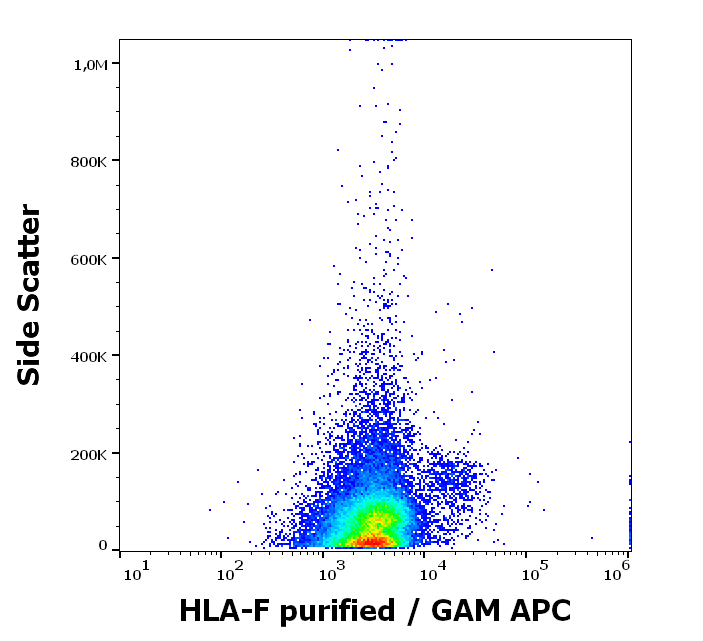 Anti-HLA-F Purified
