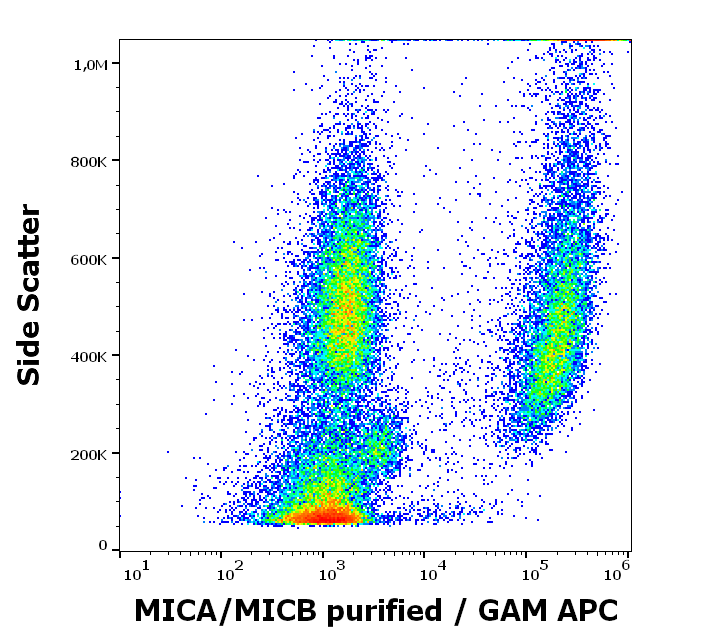 Anti-MICA/MICB Purified