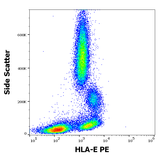 HLA-E antibody (PE)