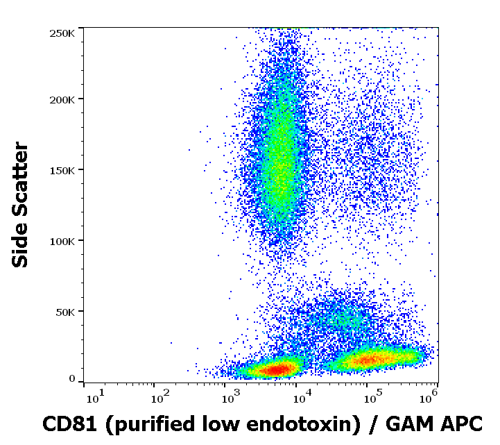 Anti-Hu CD81 Purified Low Endotoxin