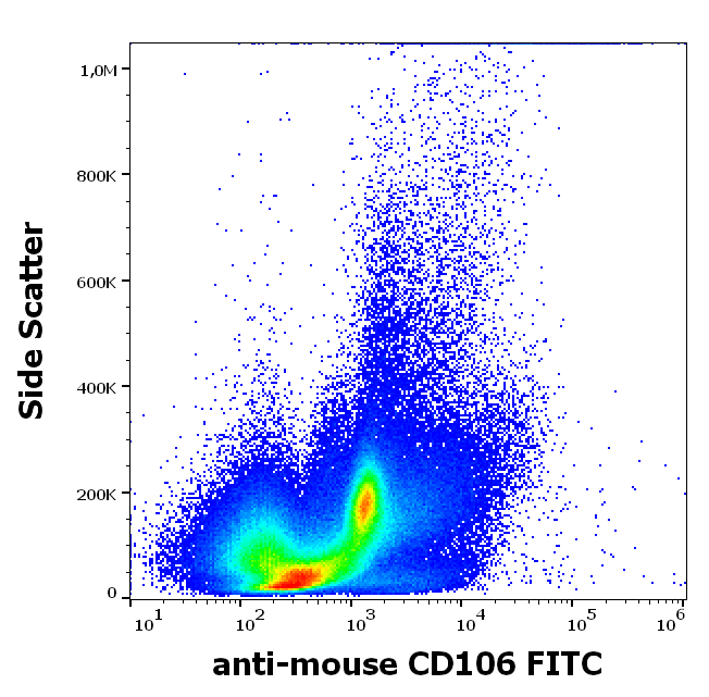 CD106 Antibody (FITC)
