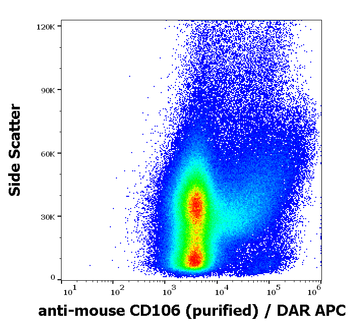 CD106 Antibody