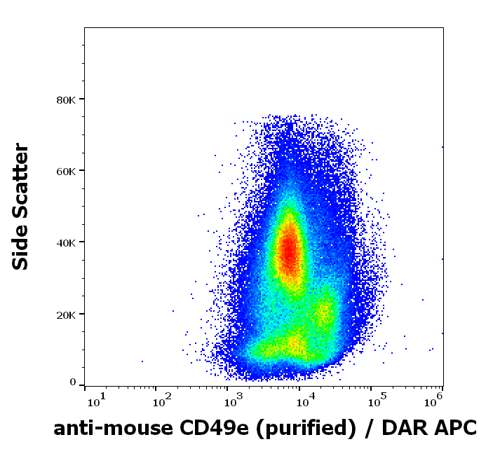 CD49e antibody