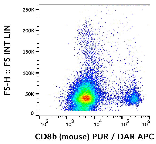 CD8b Antibody