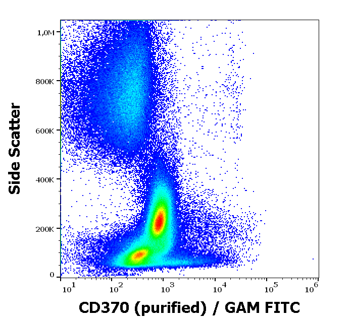 Anti-Hu CD370 Purified