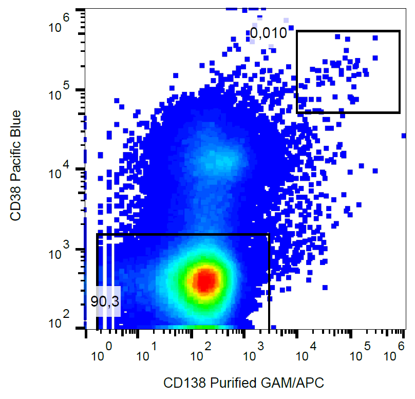 CD138 Antibody
