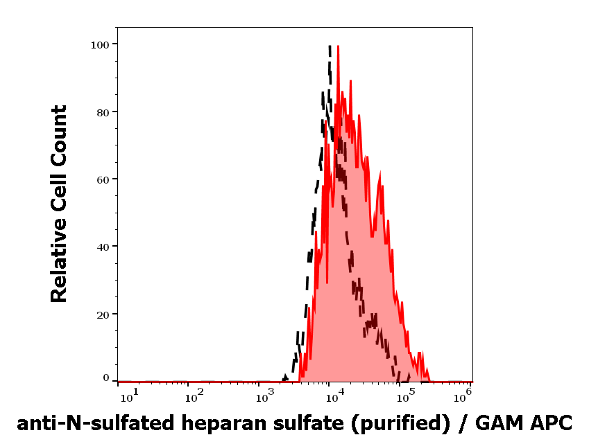 N-sulfated heparan sulfate Antibody