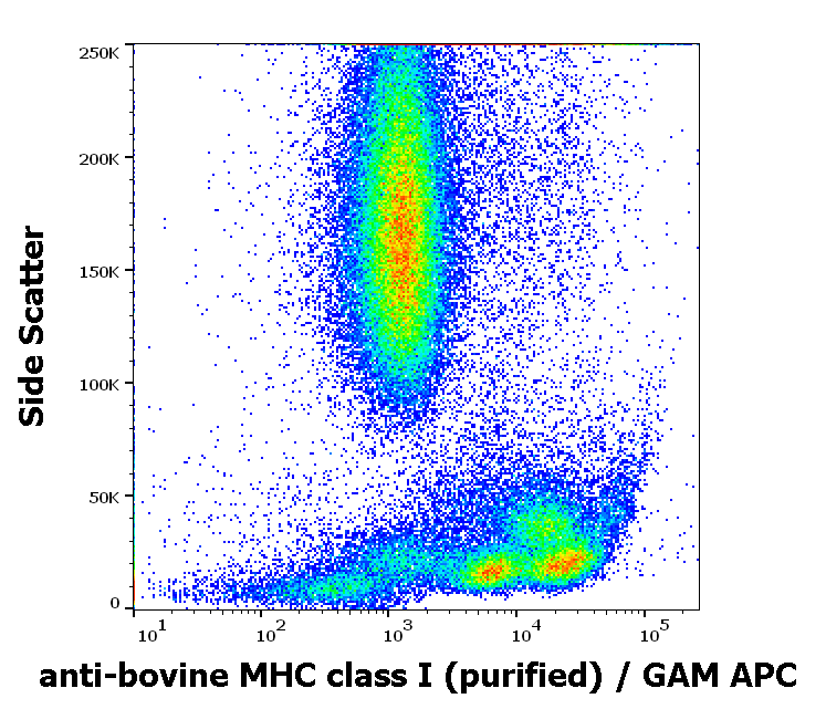MHC Class I (α+β2m chains) Antibody