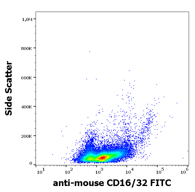 Anti-Ms CD16/CD32 FITC