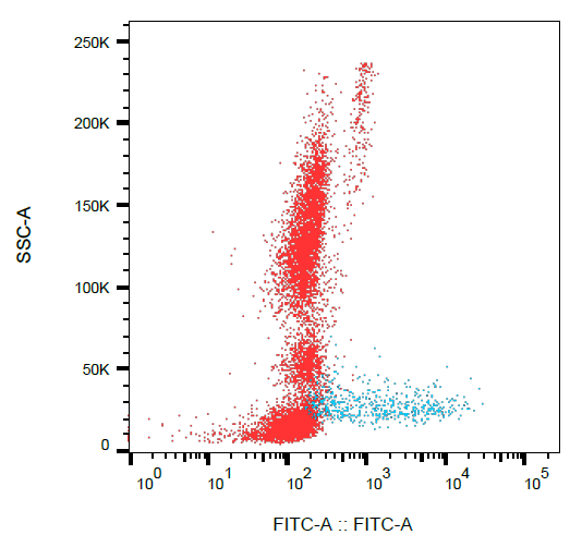 CD138 Antibody (FITC)