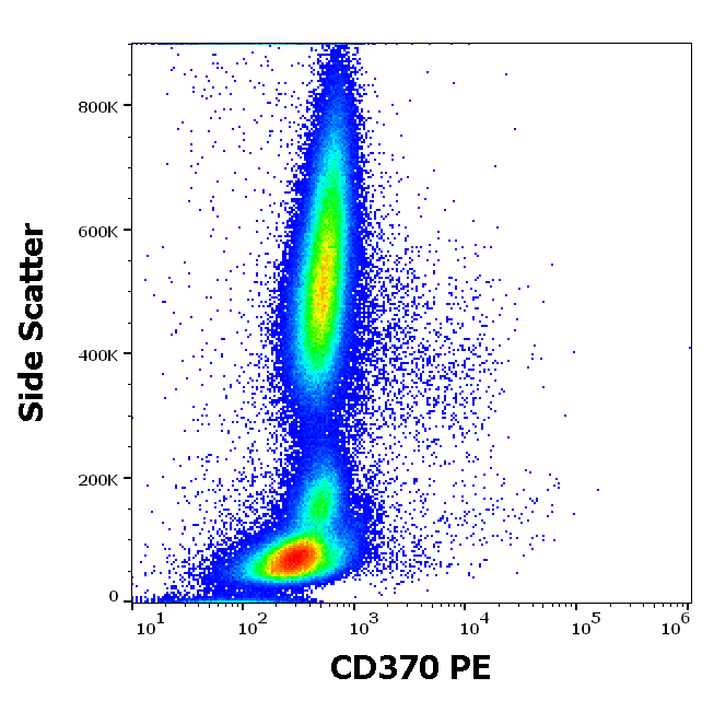 CD370 antibody (PE)