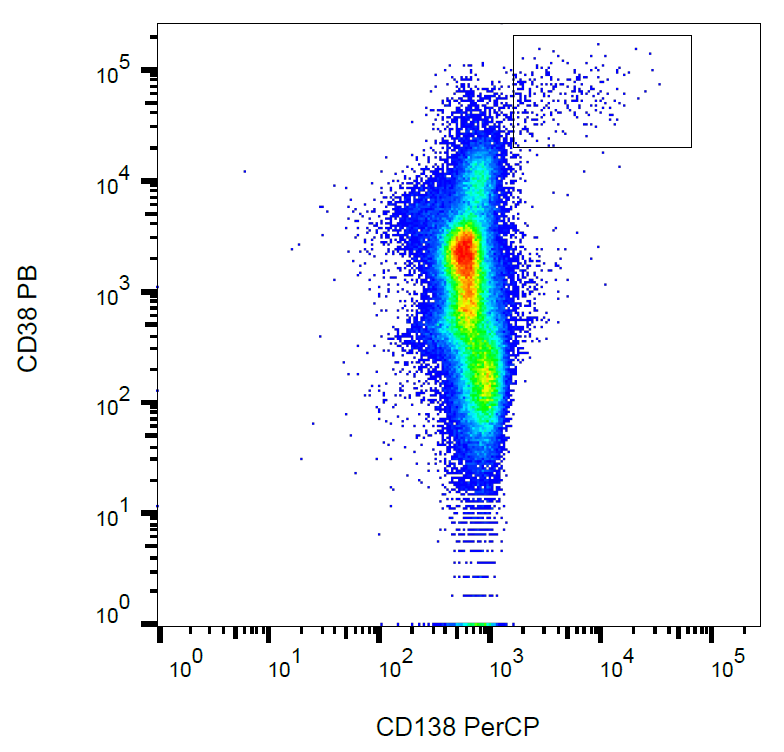 CD138 Antibody (PerCP)